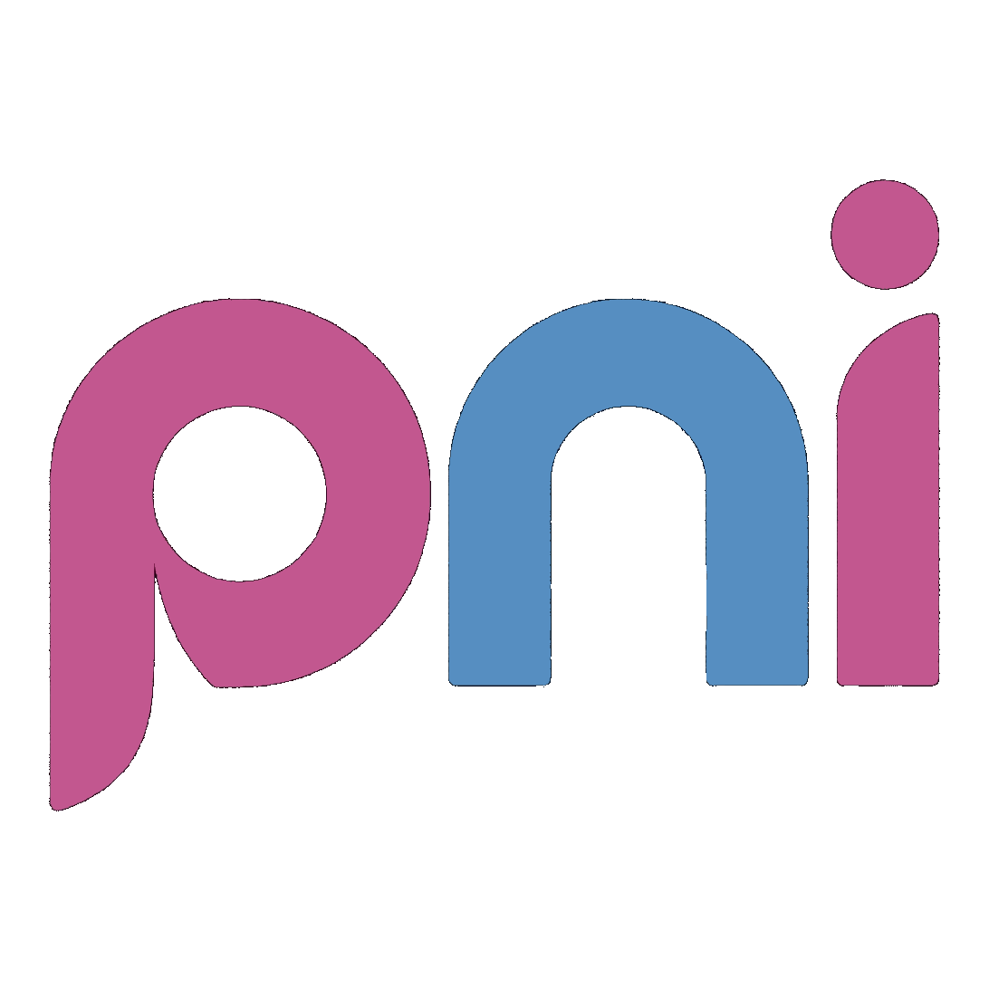 pnidesign